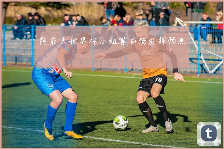 阿菲夫世界杯小组赛临场发挥预测