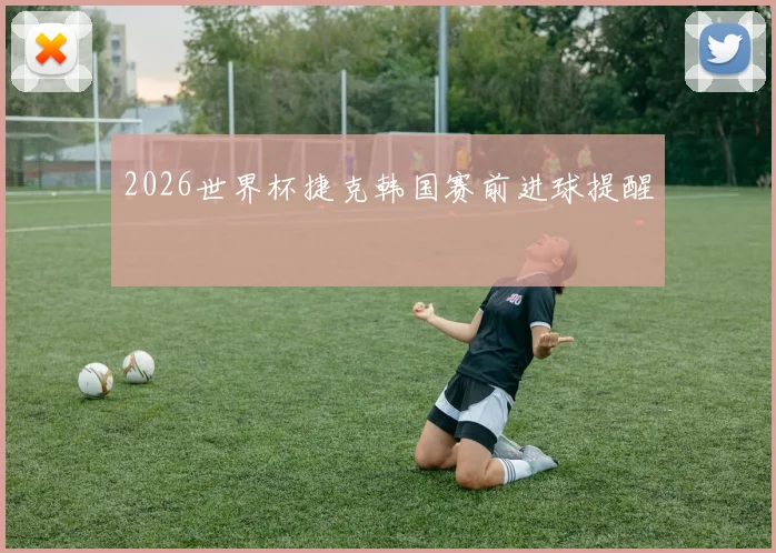 2026世界杯捷克韩国赛前进球提醒