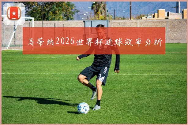 马蒂纳2026世界杯进球效率分析