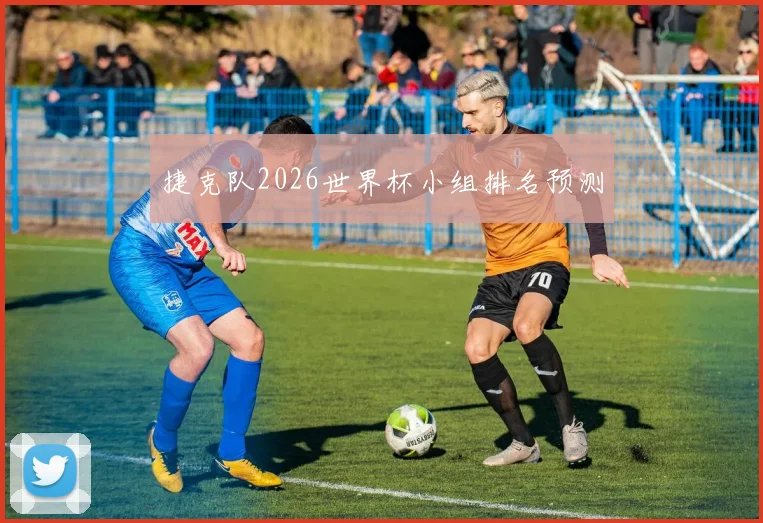 捷克队2026世界杯小组排名预测