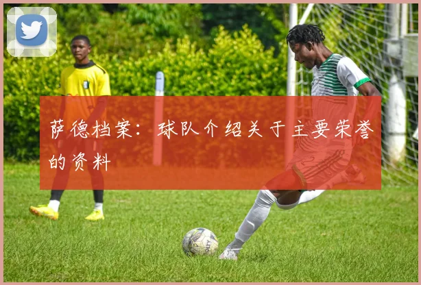 萨德档案:球队介绍关于主要荣誉的资料