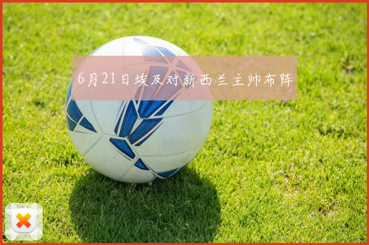 6月21日埃及对新西兰主帅布阵
