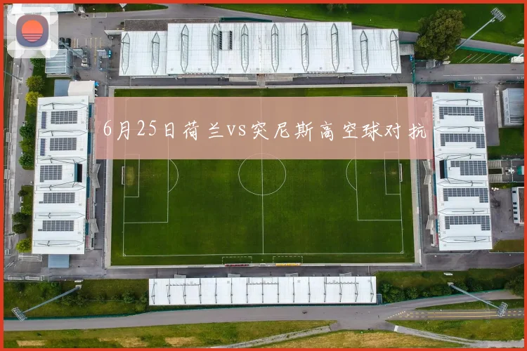 6月25日荷兰vs突尼斯高空球对抗