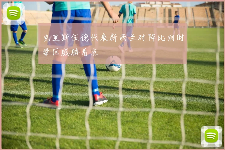克里斯伍德代表新西兰对阵比利时禁区威胁看点